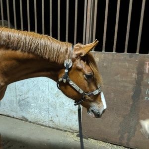 Meet your Posher, Kristin